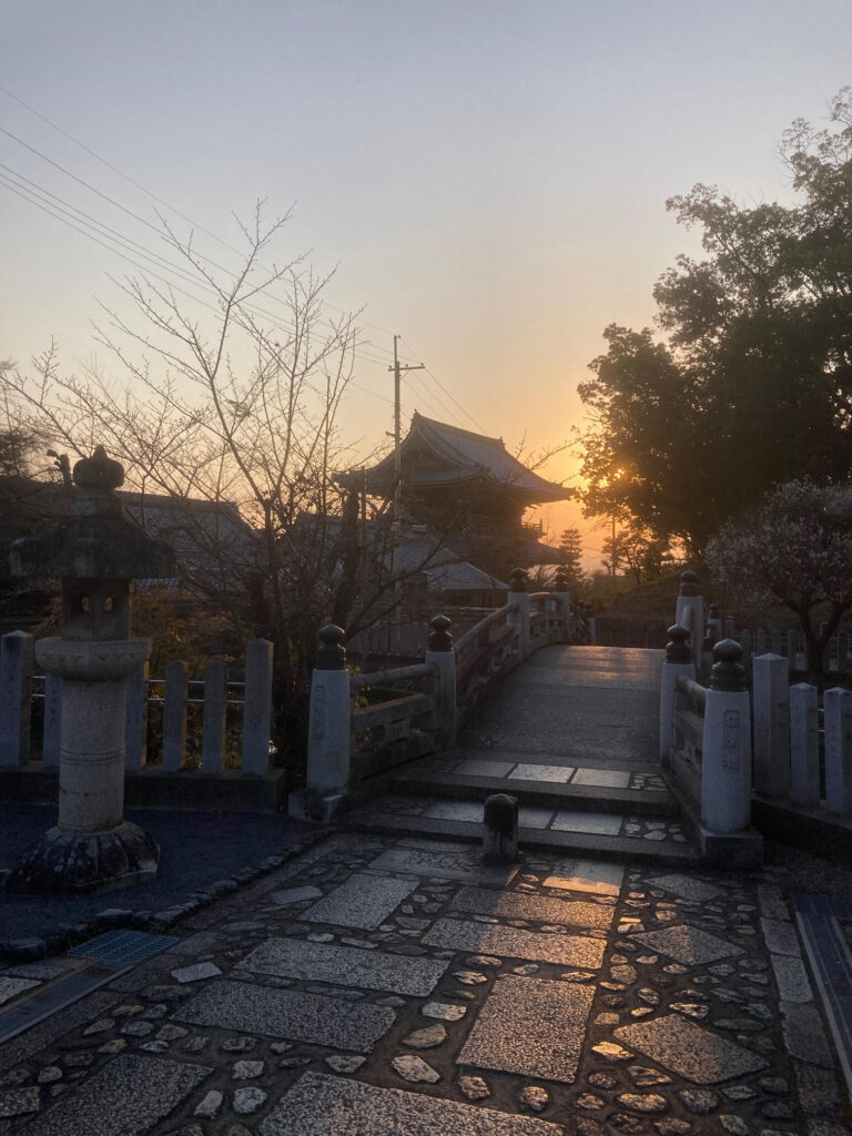 京都竹林