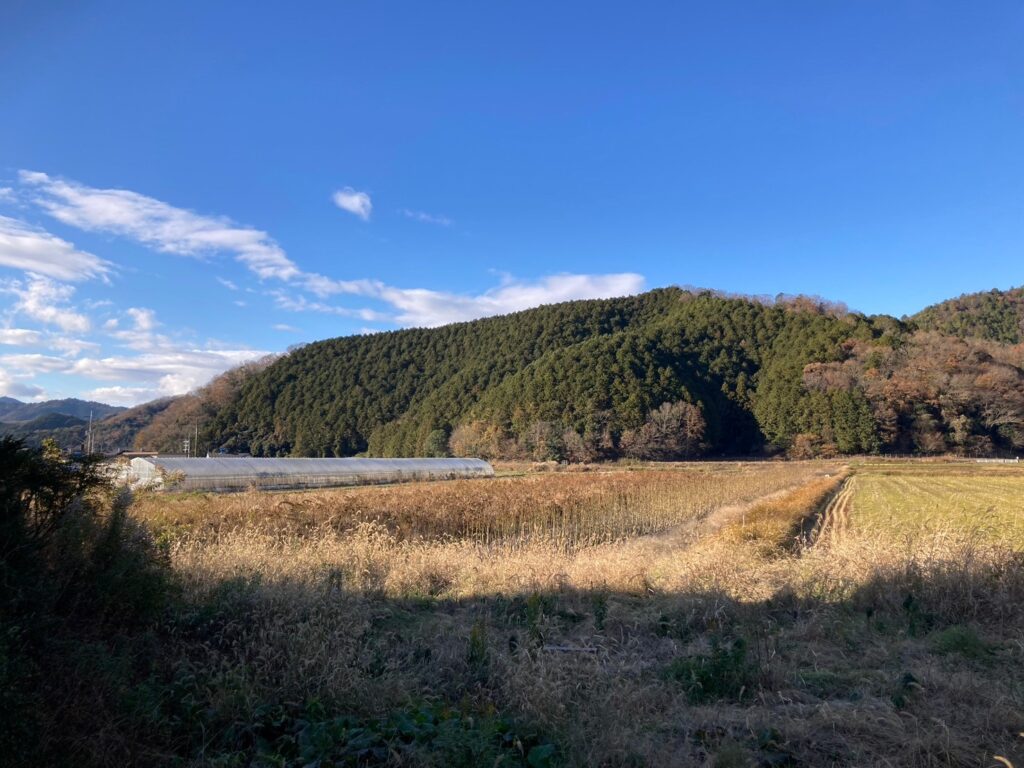 田園風景一望