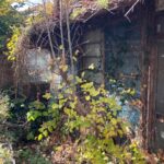 廃屋