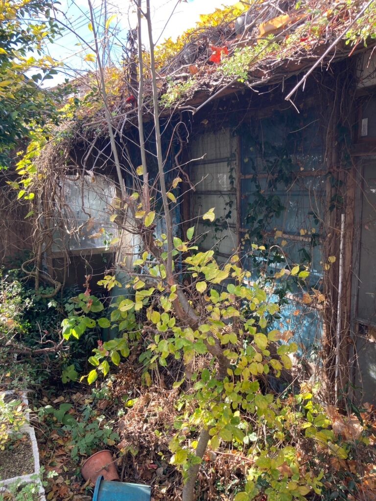 廃屋
