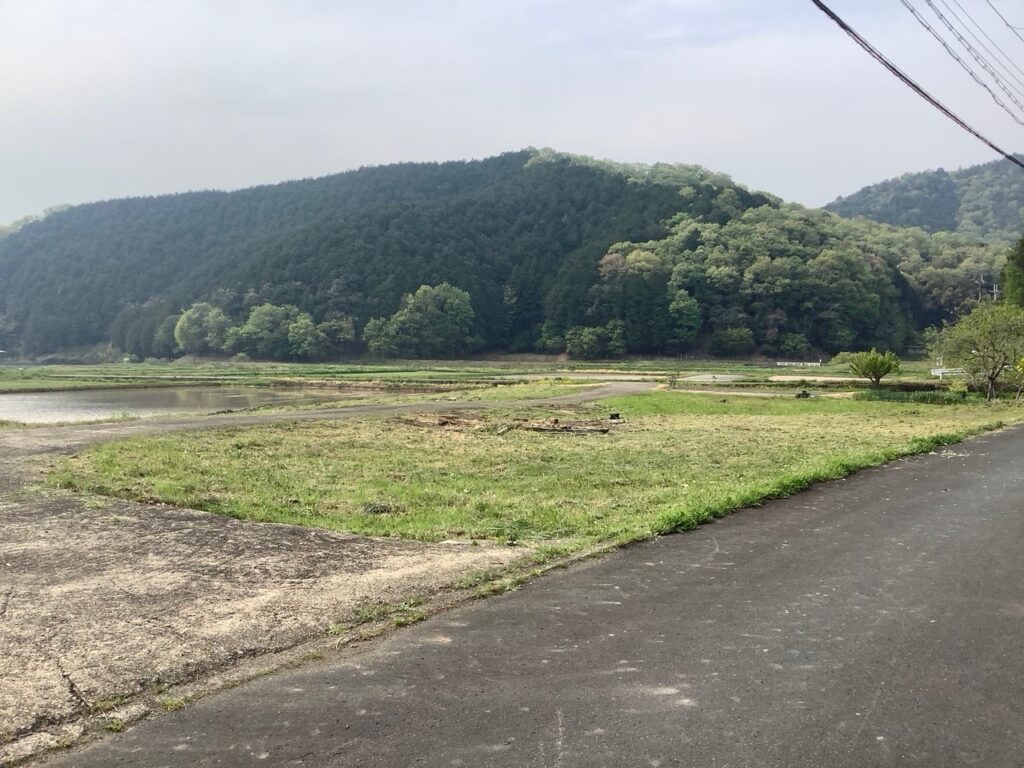 田園風景一望