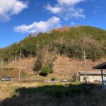 山林売却