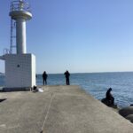 淡路島釣り
