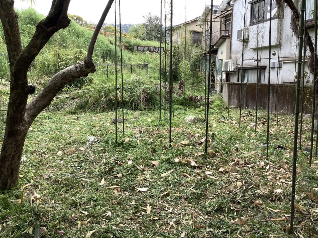 竹林整備