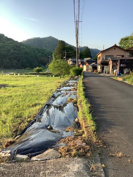 黒マルチで防草対策