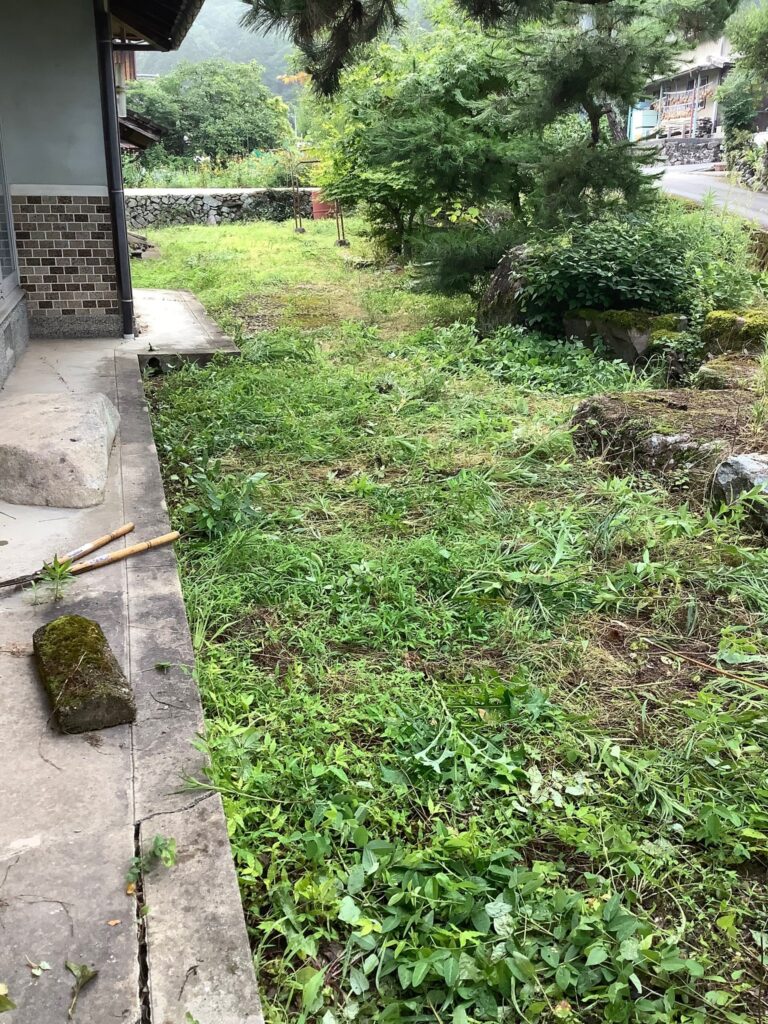 刈らない雑草対策